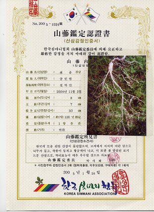 Cultured wild ginseng appraisal certificate